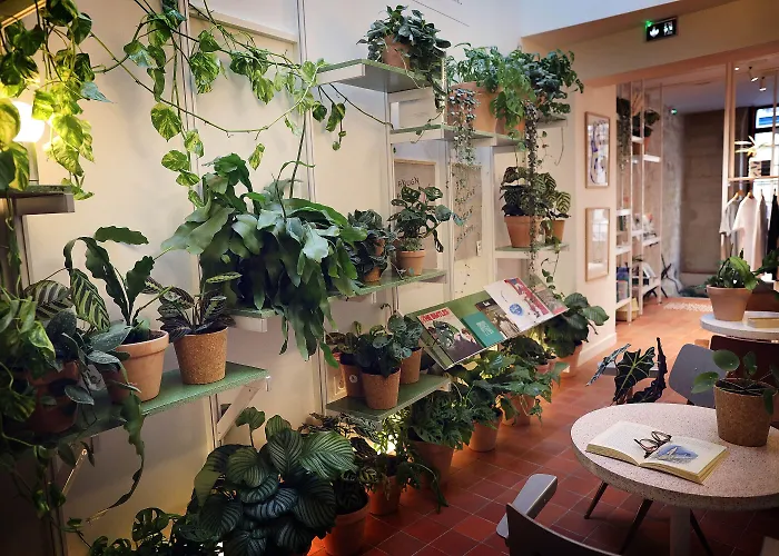 Hotel French Theory Parigi